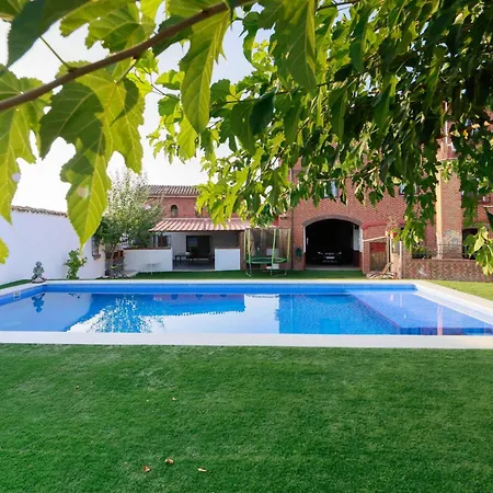 Teralba 1 *